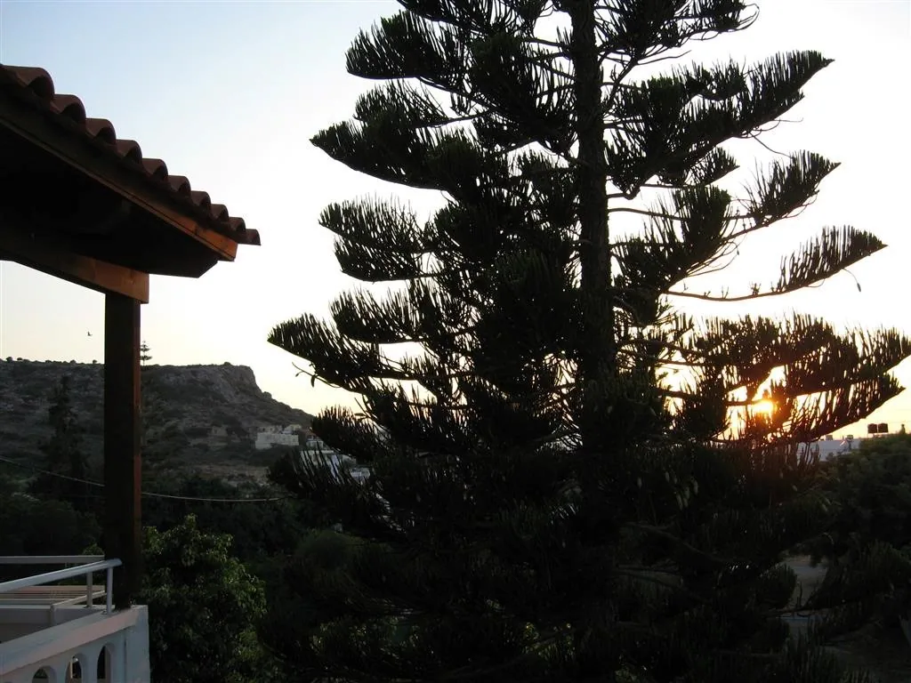 Sisi crete 055